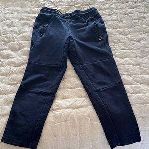 Boys Gap Jogger Pants in Navy